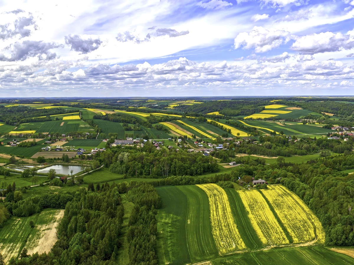Upscaled with Gigapixel v8.4.4. 4000x1489 => 8000x2978 (2x) @ 300 ppi Model: Standard V2, denoise: 0.59, sharpen: 0.59, decompression: 0.39