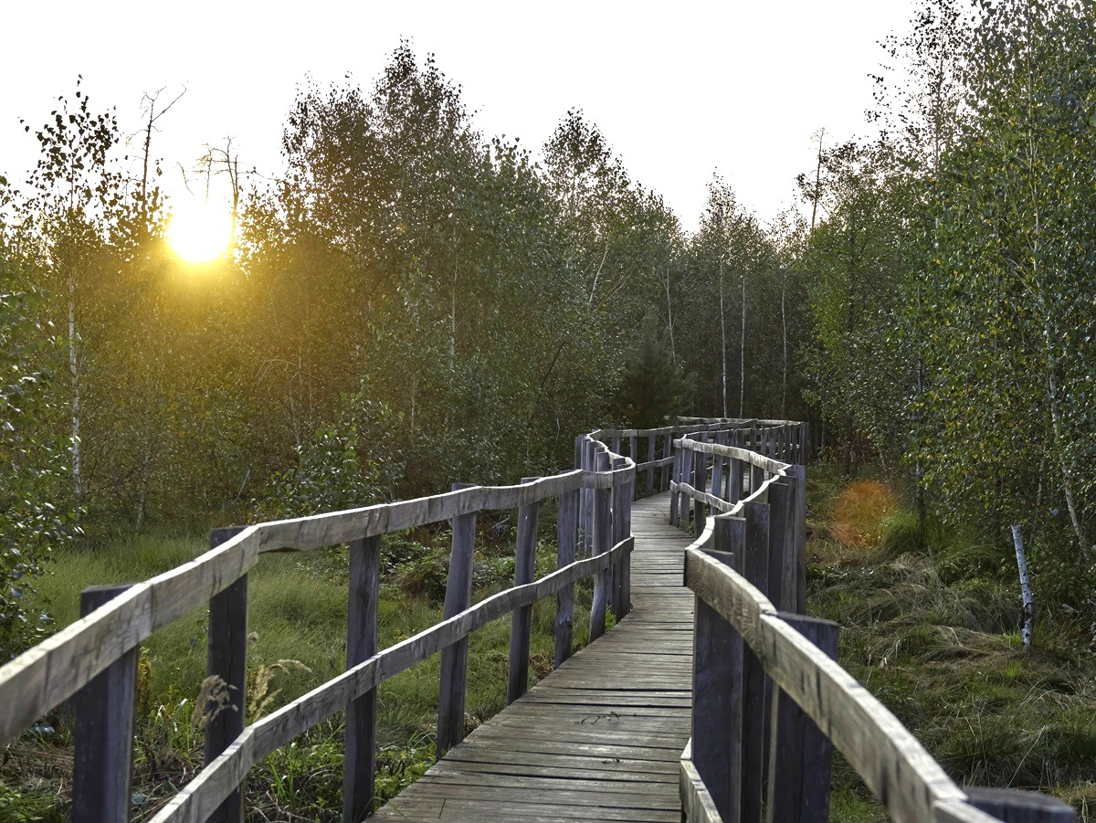 Upscaled with Gigapixel v8.4.4. 3000x2253 => 6000x4506 (2x) @ 300 ppi Model: Standard V2, denoise: 0.59, sharpen: 0.59, decompression: 0.39 |