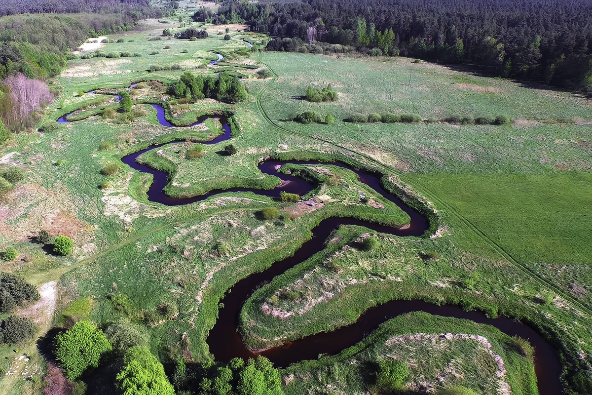 Upscaled with Gigapixel v8.4.4. 1500x844 => 3000x1688 (2x) @ 300 ppi Model: Standard V2, denoise: 0.59, sharpen: 0.59, decompression: 0.39