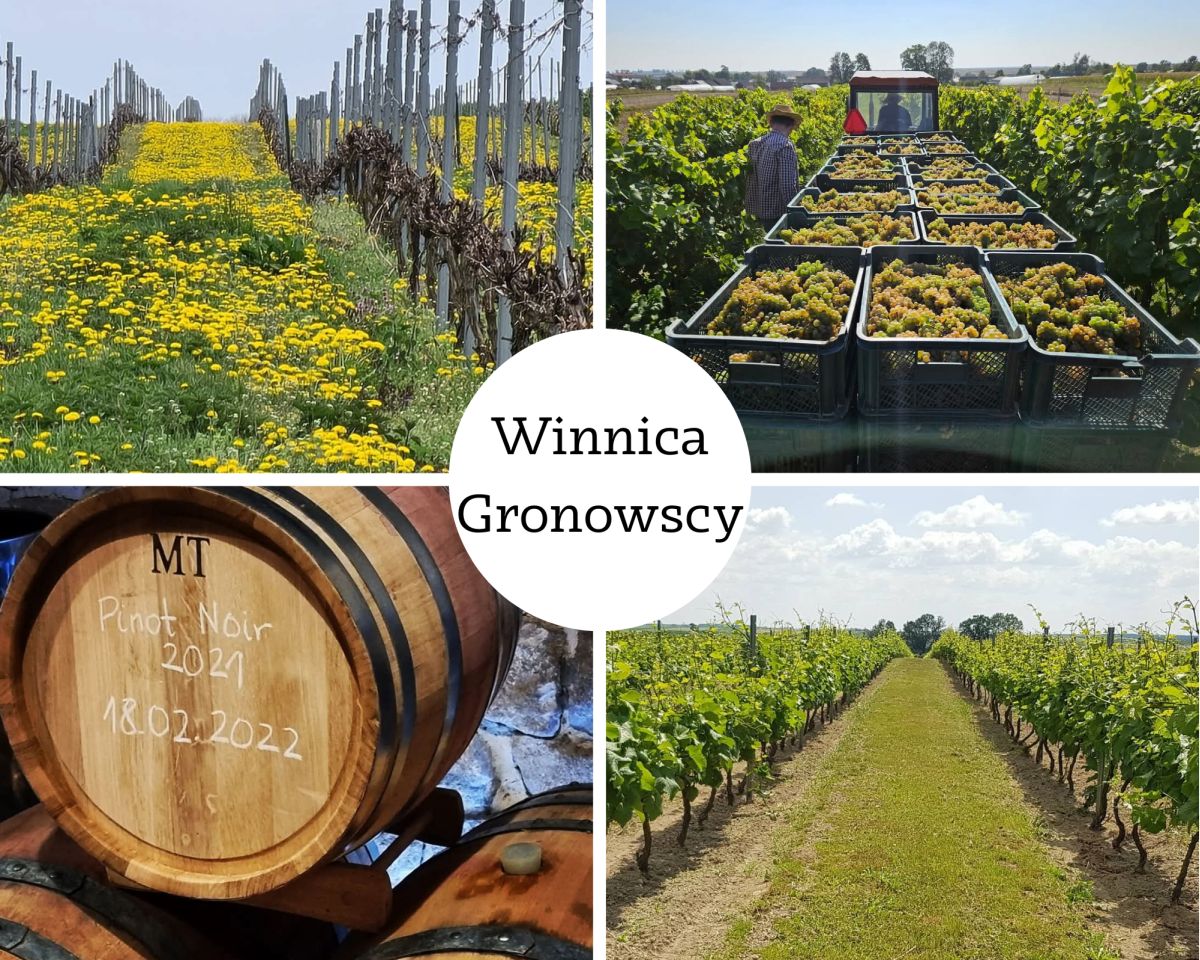 Winnica Gronowscy