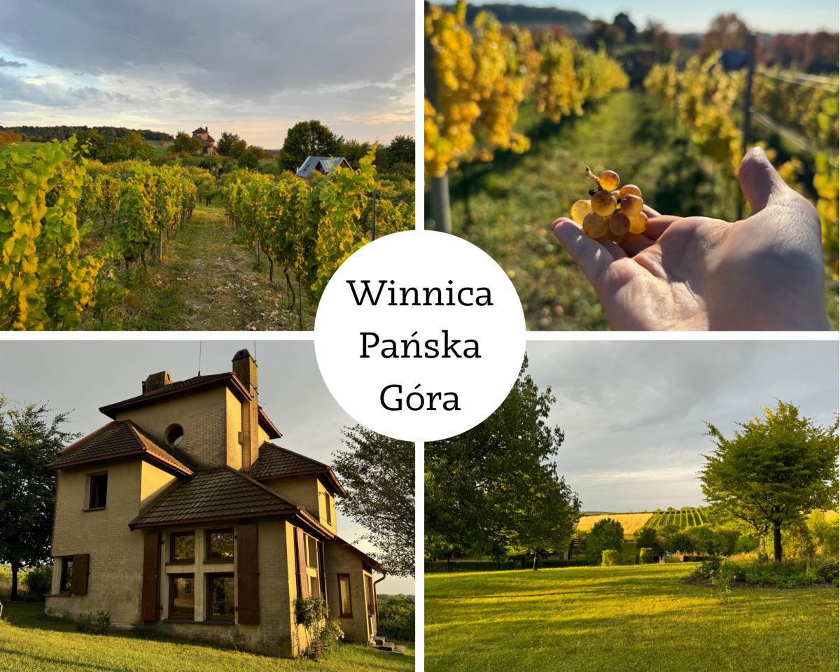 Winnica Pańska Góra