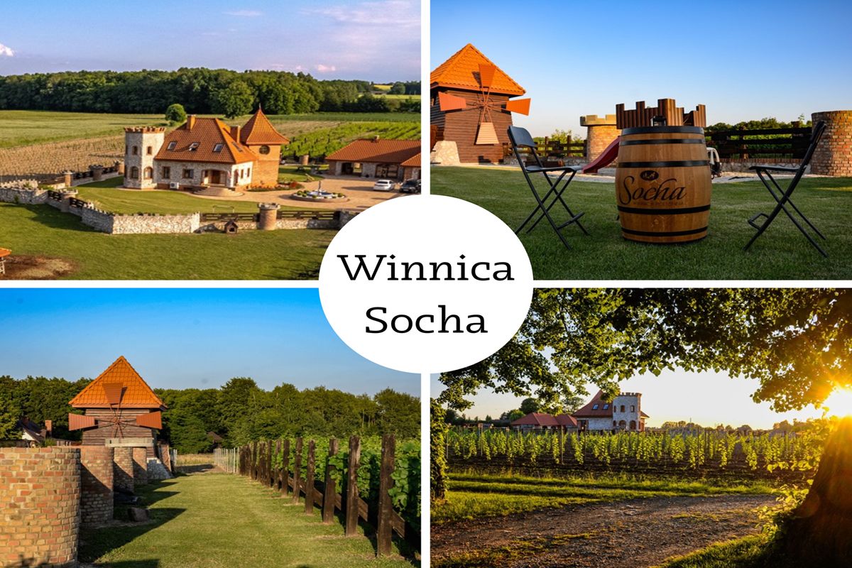 Winnica Socha projekt ostateczny1