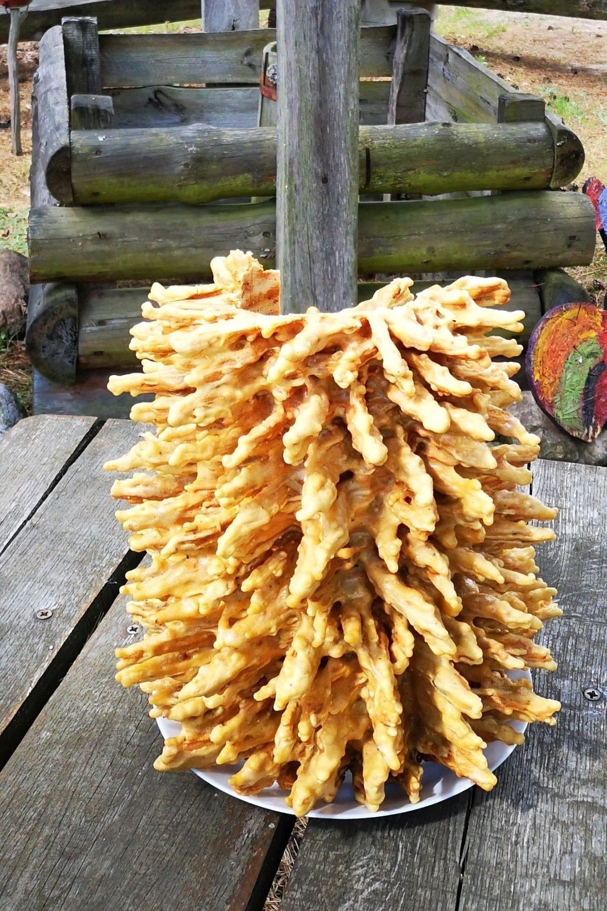 sękacz podlaski