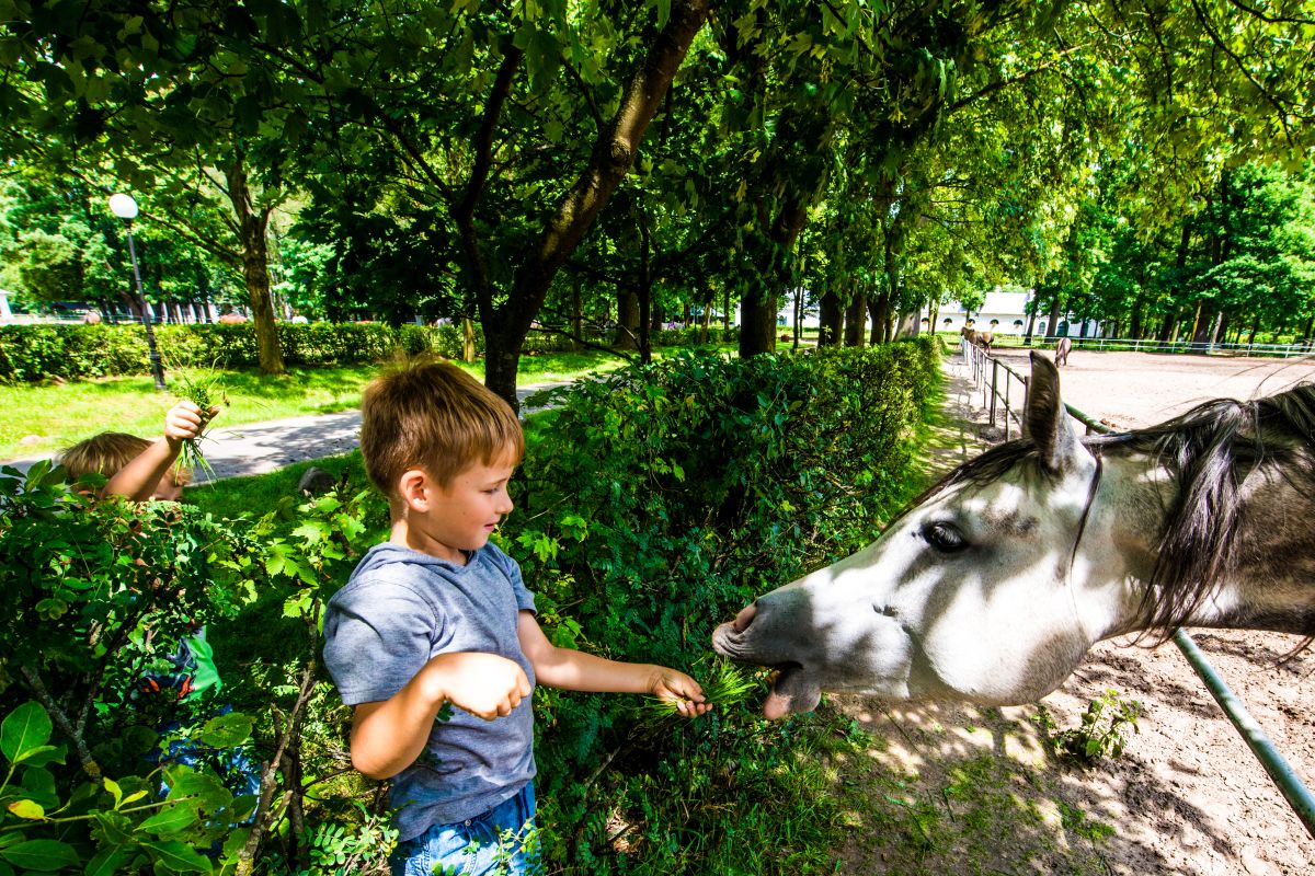 lubelskie z dzieckiem lubelskie atrakcje dla dzieci 10 3x2
