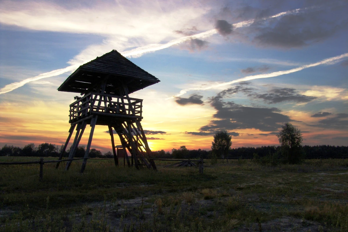 poleski park narodowy 01 3x2
