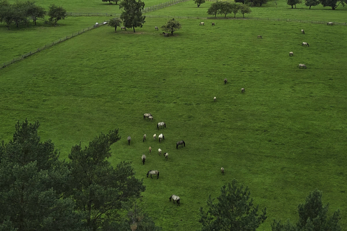 roztoczanski park narodowy 11 3x2