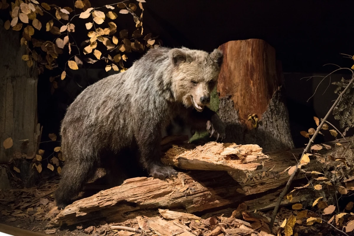 roztoczanski park narodowy 12 3x2