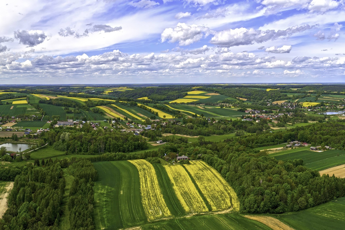 Upscaled with Gigapixel v8.4.4. 4000x1489 => 8000x2978 (2x) @ 300 ppi Model: Standard V2, denoise: 0.59, sharpen: 0.59, decompression: 0.39