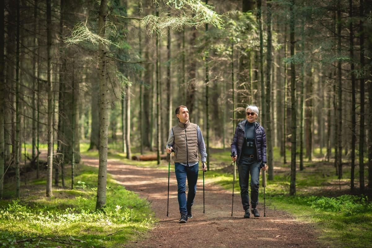 Ziemia Łukowsko-Rycka