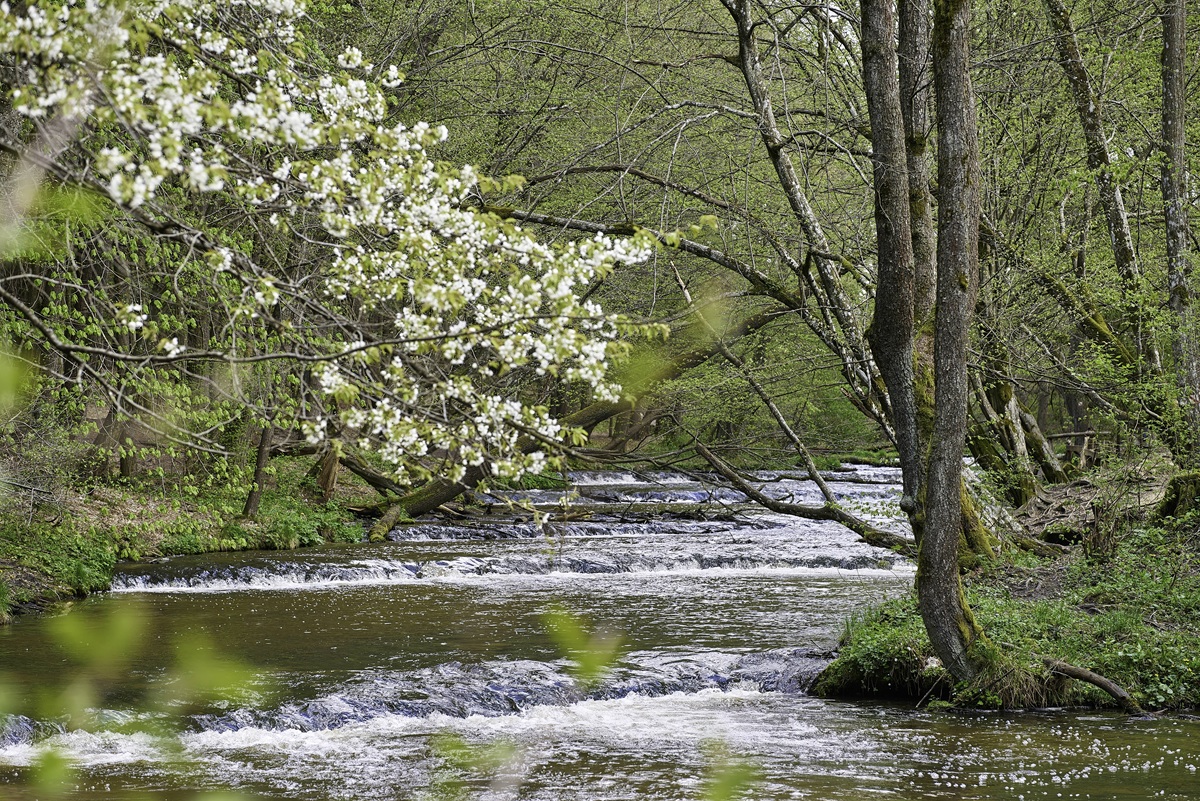 Upscaled with Gigapixel v8.4.4. 4134x2761 => 8268x5522 (2x) @ 300 ppi Model: Standard V2, denoise: 0.59, sharpen: 0.59, decompression: 0.39