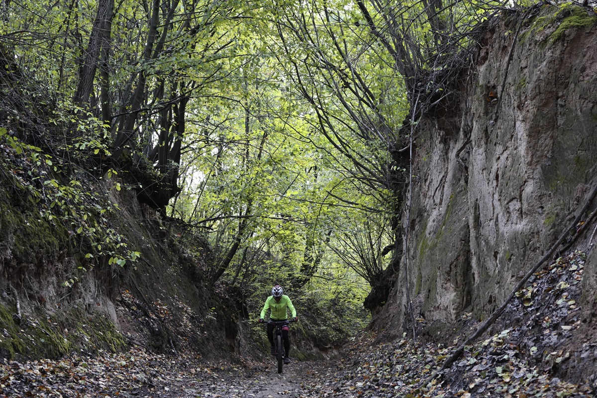 Upscaled with Gigapixel v8.4.4. 5088x3392 => 10176x6784 (2x) @ 300 ppi Model: Standard V2, denoise: 0.59, sharpen: 0.59, decompression: 0.39