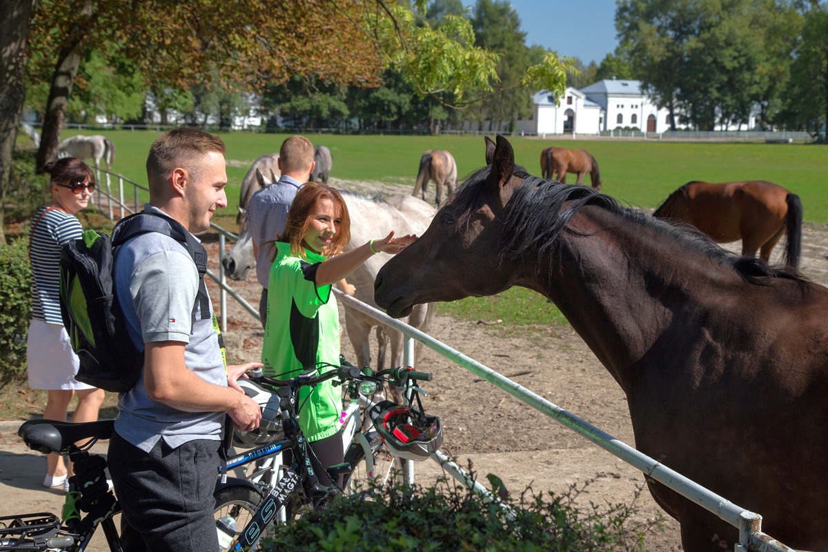 Stadnina koni czystej krwi arabskiej - zespó³ stajni52.210085, 23.230833