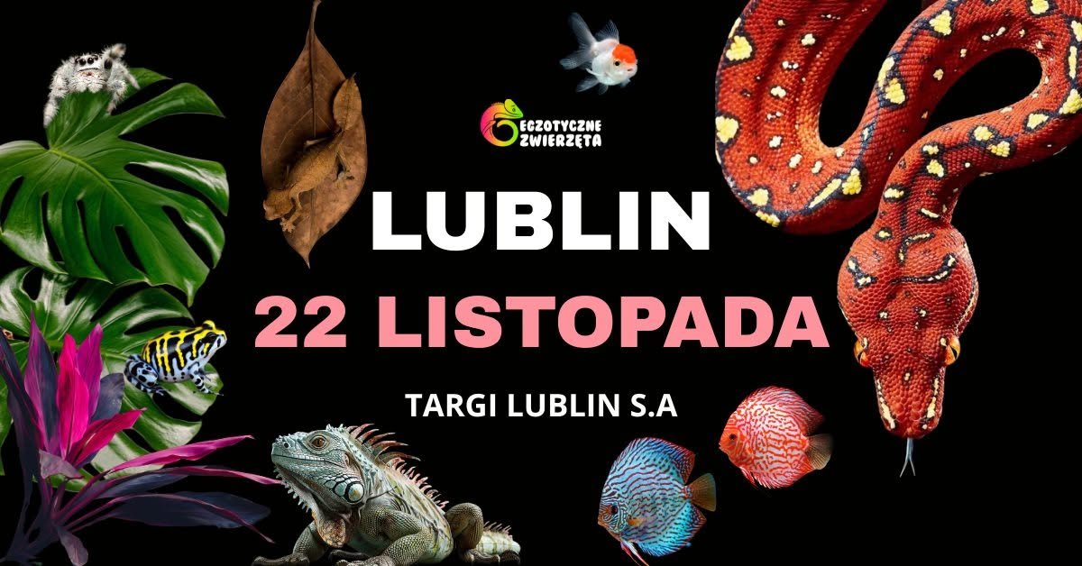 2026-11-22-egzotyczne-zwierzeta-targi-lublin